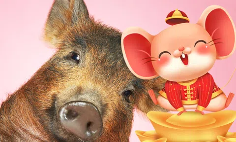 Từ tháng 3, những con giáp này tài lộc ập về như thác đổ: Tuổi số 2 may túi đựng tiền!