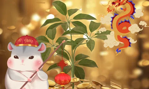 4 con giáp cuối tuần này mở ví đón vàng ròng, tiền về như thác lũ: Lộc trời xối xả