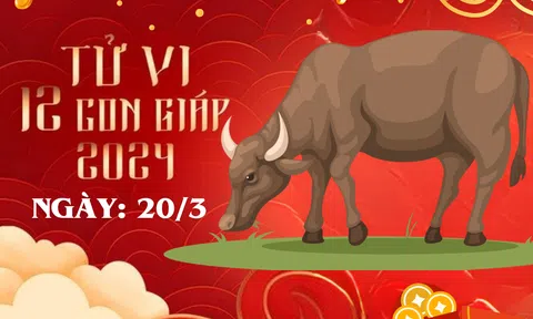 Tử vi 12 con giáp hôm nay ngày 20/3/2024: Tuổi Mão sa sút, tuổi Tỵ hao của, nhiều tuổi gặp bất ổn