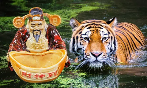 Số trời định: 5 con giáp sang tuần cực đỏ, no căng lộc trời, giàu đổ vách vì Thần Tài chấm chọn