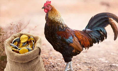 Từ 6/4 đến 16/5: Vận mệnh đảo chiều, 4 con giáp sắp hứng 'mưa lộc', quan lộ lẫn tiền tài đều chạm đỉnh 