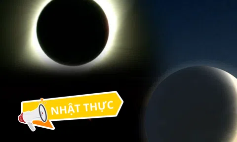 Nhật thực toàn phần ngày 8/4: NASA cảnh báo về hiện tượng hiếm gặp, động vật xuất hiện dấu hiệu lạ