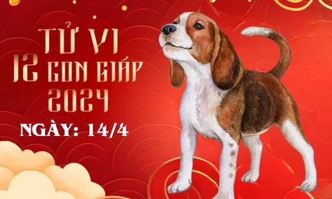 Tử vi 12 con giáp hôm nay ngày 14/4/2024: Tuổi Dậu mâu thuẫn, tuổi Tuất rủi ro, tuổi Thìn cực đỏ