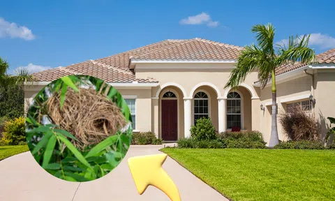 Nhà có 3 dấu hiệu này báo hiệu Thần Tài sắp ghé thăm, tài lộc ập đến, tống sạch vận đen