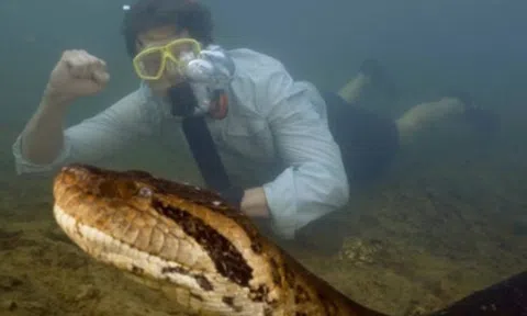 Phát hiện con rắn lớn nhất thế giới ẩn trong đầm lầy, khủng hơn bạo chúa T-Rex