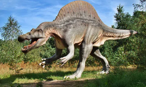 Thêm tiết lộ mới về khủng long, hé lộ lý do thống trị hàng trăm triệu năm