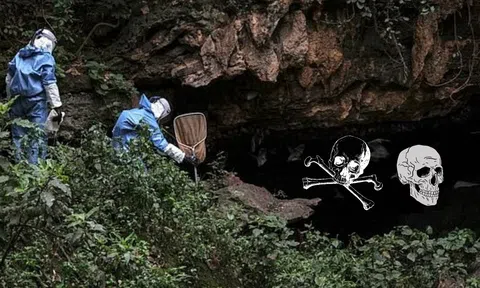 Bên trong hang động 'đáng sợ nhất thế giới', nỗi ám ảnh về đại dịch