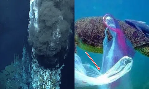 Nơi sâu nhất thế giới nơi mặt trời không thể chiếu đến lại xuất hiện thứ mà các nhà khoa học không muốn nhìn thấy nhất!