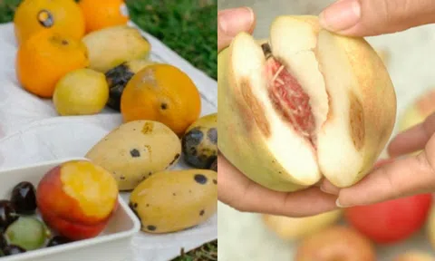 Loại trái cây này là thức ăn ưa thích của tế bào ung thư, người tiếc rẻ vẫn ăn trong vô thức!