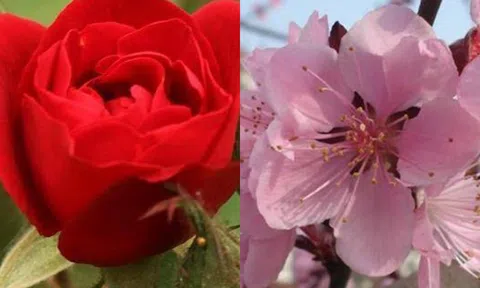 5 giờ sinh có số sướng nhất: Giàu có phú quý, cuộc sống êm đềm!