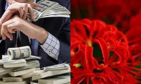 3 ngày sinh tốt lành nhất: Trong tương lai, bạn sẽ là một ông chủ lớn hoặc một tỷ phú!