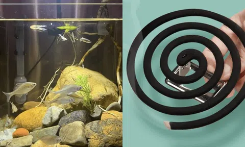 Trong phòng ngủ nếu có 4 thứ này thì nên vứt chúng đi ngay kẻo mang họa: Vật đầu tiên 99% gia đình đều có!