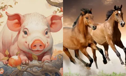 Xin chúc mừng bốn tuổi sẽ gặp may trong năm sau: Vận khí cao, sự nghiệp thành công viên mãn!