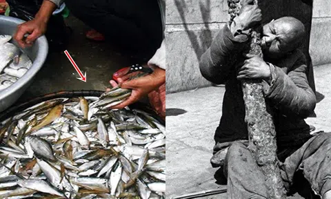 Tại sao khi gặp nạn đói, người xưa thà ăn vỏ cây chứ quyết không đi đánh bắt cá?