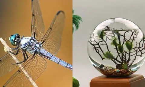 Cái kết kinh hoàng của con người khi oxy trên trái đất tăng gấp đôi