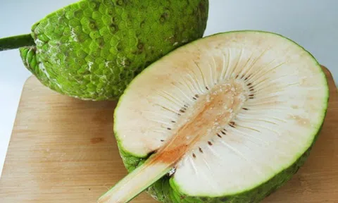 Giải mã loài cây có 'siêu năng lực': 1 cây có thể nuôi sống một người nửa năm, ở Việt Nam cũng trồng!