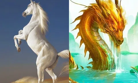 Danh sách xếp hạng giàu có năm 2024: Bốn tuổi này sẽ gặp vận may lớn trong sự nghiệp!