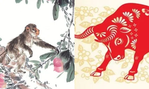 Từ ngày 24/11 đến 24/12, những con giáp này sẽ đón vận may, làm ăn phát đạt, trúng số lớn