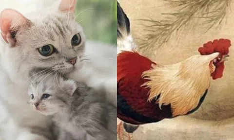 3 con giáp cuối năm được thăng chức, tăng lương: Tạm biệt khó khăn, vận may dồi dào!