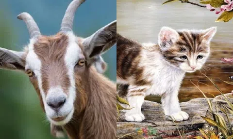 Từ ngày 1/12-30/12, thần tài sẽ mỉm cười với 3 con giáp này!