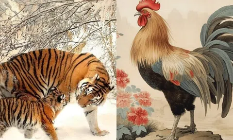 Nửa đầu năm 2024, 4 con giáp này sẽ thay đổi vận mệnh, xui cũng thành may!