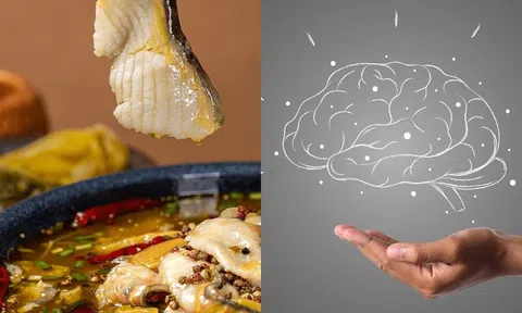 Ăn cá có thực sự giúp bạn thông minh hơn? Khảo sát về IQ cho ra kết quả bất ngờ!