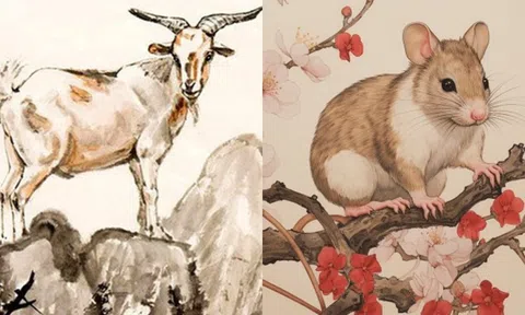 Trong ba ngày tới, những con giáp này sẽ đón cơn mưa tài vận, chuyển thắng thành bại!