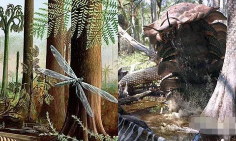 Số phận trái đất khi có nhiều oxy hơn? Tưởng là điều tốt nhưng thực chất là thảm họa?