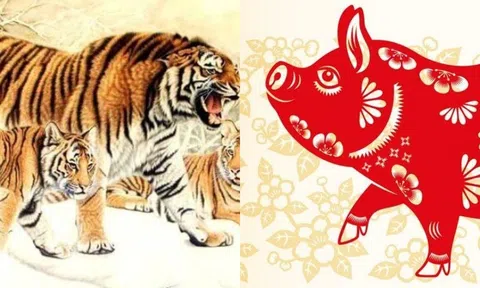 Từ 1/12 trở đi, tiền tài, may mắn sẽ ập đến với 3 con giáp này, muốn nghèo cũng khó!