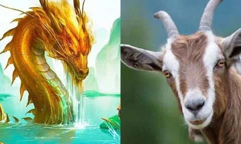 Ngày 7 tháng 12, 3 con giáp này sẽ 'nở hoa', tài lộc nở rộ, vận may đến liên tục