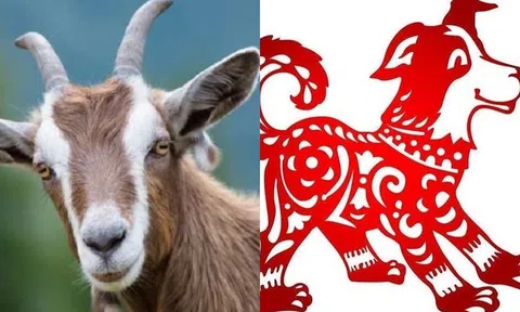 Từ ngày 8 tháng 12,  3 con giáp này sẽ nhận tin vui liên tục, tài lộc và may mắn gõ cửa!