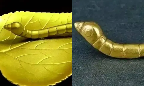 Cậu bé nhặt được con bọ vàng khi tắm sông liền mang về cho bố mẹ, hoá là báu vật vô giá!