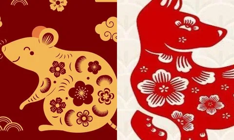 Ngày 12 tháng 12, 3 con giáp sẽ kiếm được kiếm được bộn tiền, vận may tới liên tục!