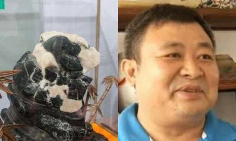 Người đàn ông nhặt được 1 viên đá gấu trúc, trả 3 tỷ không bán ai ngờ có giá 525 tỷ!