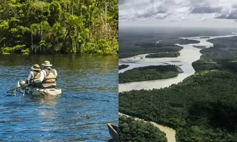 Sông Amazon đáng sợ đến mức nào? Tại sao không có cây cầu nào có thể bắc qua được?
