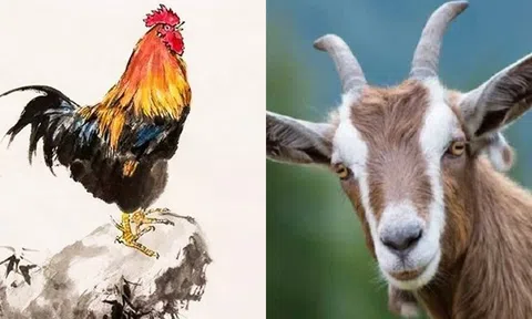 Ngày 19/12, 3 con giáp này sẽ đón cơn mưa tài vận, tiền vào như nước, tình duyên ập đến!