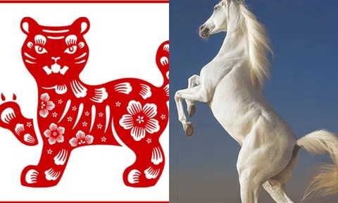 Ngày mai 20/12, 3 con giáp này sẽ trúng vận may, tin vui thi nhau kéo đến, tiền bạc rủng rỉnh!