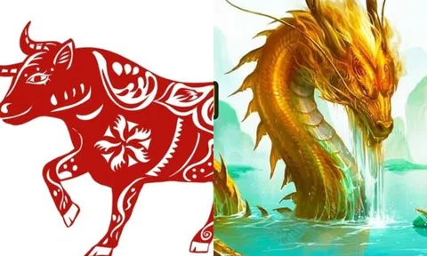 Từ ngày 25 tháng 12 đến ngày 30 tháng 12, sự giàu có sẽ ập đến với các con giáp này!