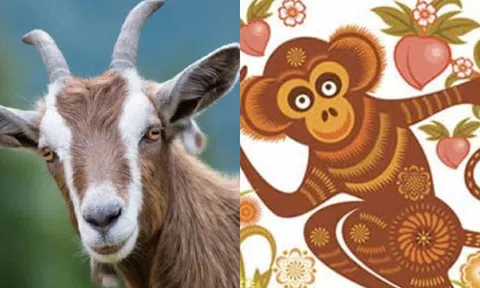 Từ nay đến hết tháng 1, những con giáp này sẽ phát tài, tình duyên nở rộ!