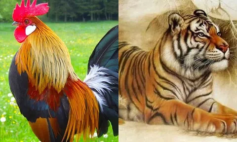 Đầu năm 2024, 4 con giáp này sẽ thành công, tình duyên viên mãn và giàu có