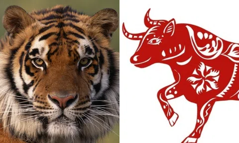 7 ngày tới, 3 con giáp này sẽ gặp may mắn, vừa có tình lại có tiền!