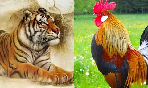 4 tháng đầu năm, loạt con giáp này sẽ địa vị thăng tiến, tiền thưởng tăng gấp đôi