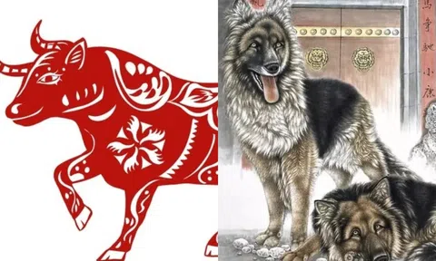 Các con giáp kiếm bội tiền trước Tết, ra năm mới may mắn ngập tràn!