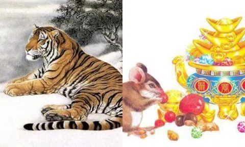 Từ ngày 2/1, các con giáp náy sẽ hết xui xẻo, sự nghiệp thăng hoa, may mắn ngập tràn!