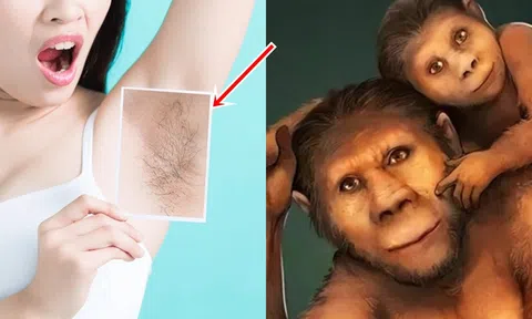Con người rụng lông từ 1,14 triệu năm trước, cớ sao vẫn giữ lại vùng lông ở nách?
