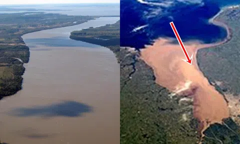 Con sông kỳ lạ nhất thế giới, không dài nhưng rộng bằng 1/5 diện tích lục địa Châu Mỹ.
