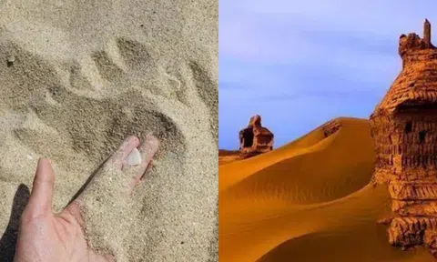 Sa mạc nhiều cát, sao không dùng để xây nhà? Đọc xong mới ngộ ra nhiều kiến thức!