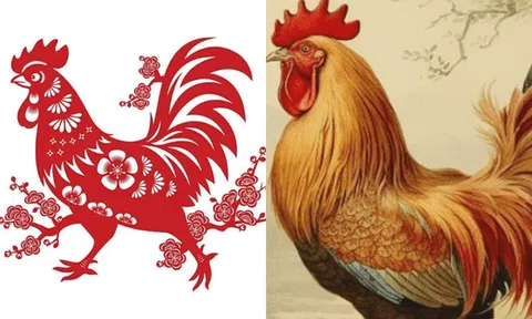 Vận mệnh của người sinh năm 1981 trong năm 2024: Gặp may mắn về chuyện tiền bạc!