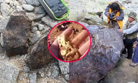 Top những viên thiên thạch đắt nhất thế giới! Nếu nhìn thấy phải nhặt ngay!