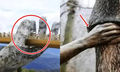 ‘Hai bàn tay’ đặc biệt nhất thế giới, ai cũng muốn tận mắt đi xem: Có 1 đại diện của Việt Nam